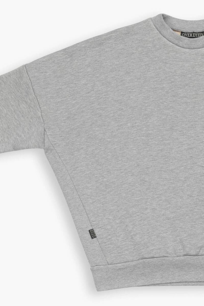 ESSENTIAL ULTIMATE DROPPED CREW - Wide sweatshirt with print, unique boxy cut