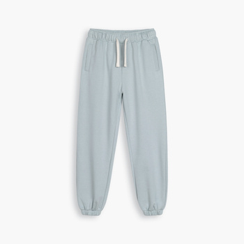 AESTHETIC LOGO PANT - Eiskaltes Grau