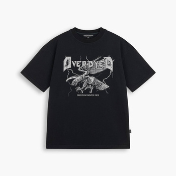 EAGLE WASHED TEE - Luźna koszulka z grubej bawełny, z efektem sprania, o lekko oversizowym korju relaxd