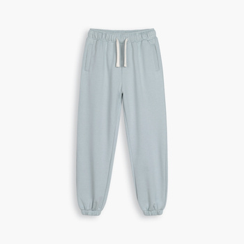 AESTHETIC LOGO PANT - Icey grey