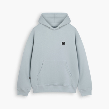 AESTHETIC LOGO HOOD - Icey Grey